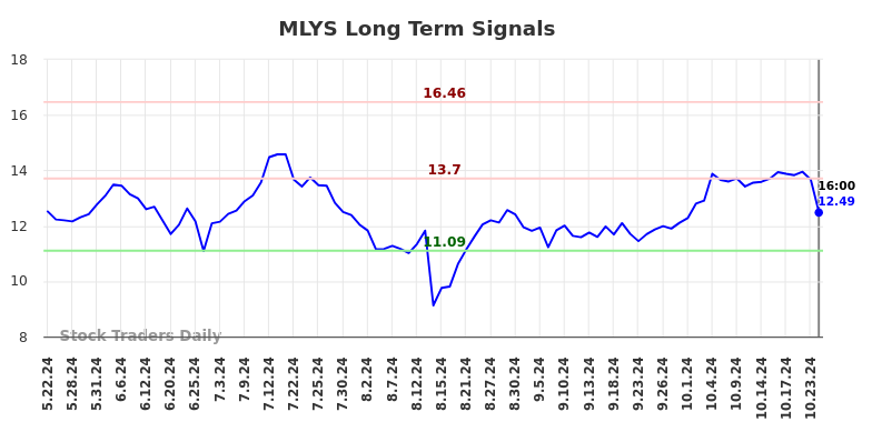 MLYS Long Term Analysis for November 24 2024