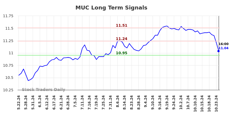 MUC Long Term Analysis for November 24 2024