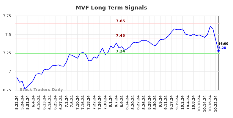 MVF Long Term Analysis for November 24 2024