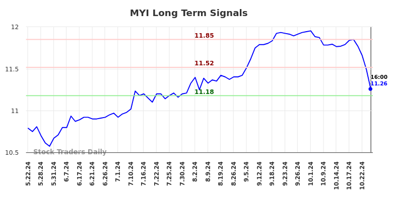 MYI Long Term Analysis for November 24 2024