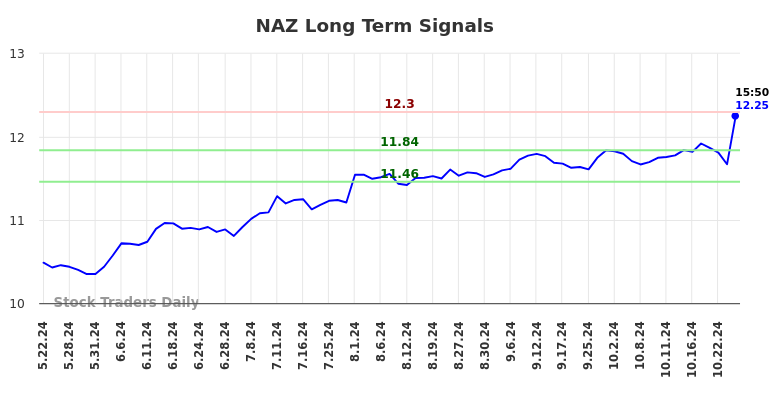 NAZ Long Term Analysis for November 24 2024