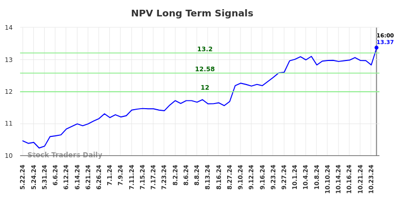 NPV Long Term Analysis for November 24 2024