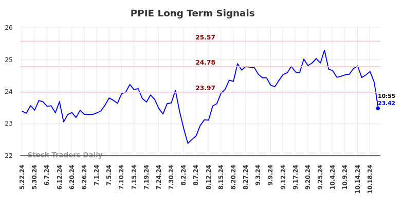 PPIE Long Term Analysis for November 25 2024