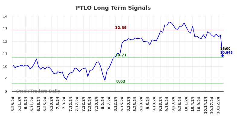 PTLO Long Term Analysis for November 25 2024