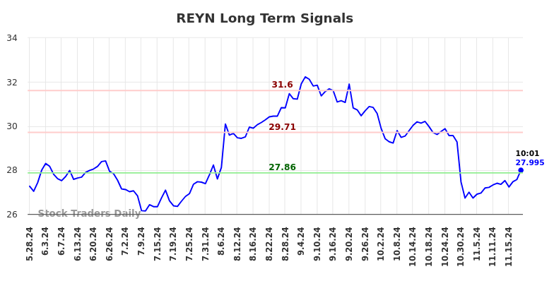 REYN Long Term Analysis for November 25 2024