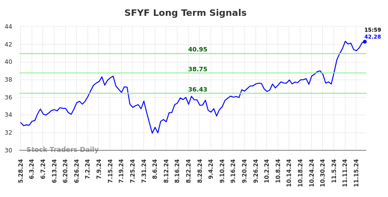 SFYF Long Term Analysis for November 25 2024