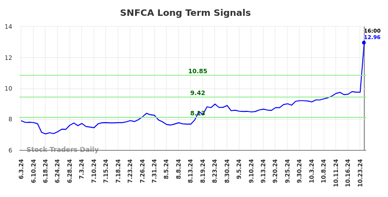 SNFCA Long Term Analysis for November 25 2024