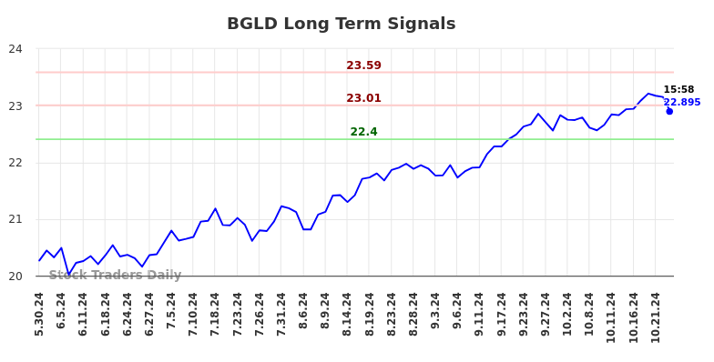 BGLD Long Term Analysis for November 26 2024