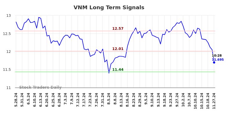 VNM Long Term Analysis for November 27 2024