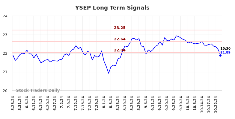 YSEP Long Term Analysis for November 27 2024