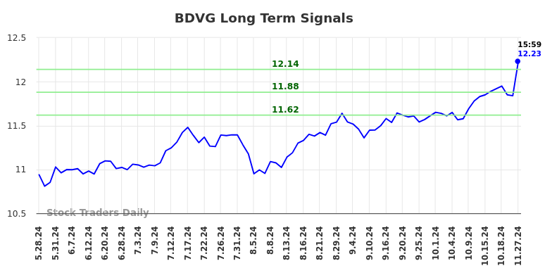 BDVG Long Term Analysis for November 28 2024