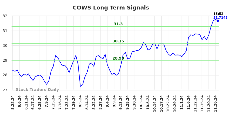 COWS Long Term Analysis for November 28 2024