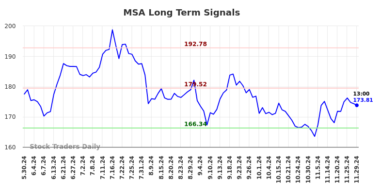 MSA Long Term Analysis for November 29 2024