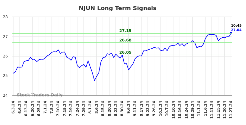 NJUN Long Term Analysis for November 30 2024