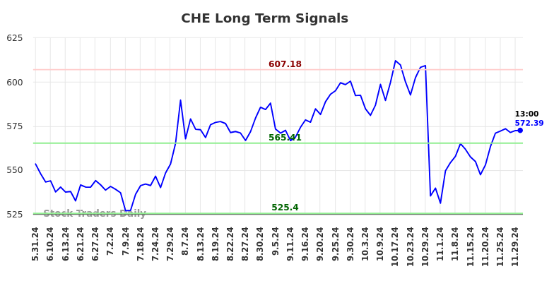 CHE Long Term Analysis for November 30 2024