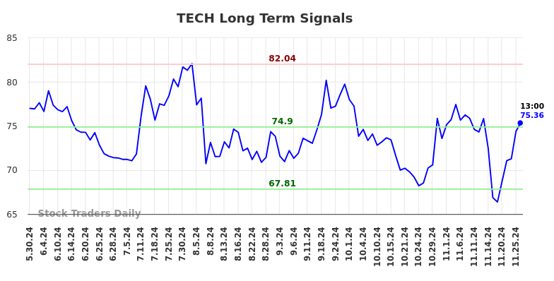 TECH Long Term Analysis for December 1 2024