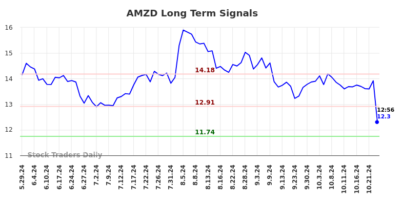 AMZD Long Term Analysis for December 1 2024