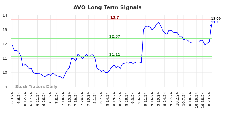 AVO Long Term Analysis for December 2 2024