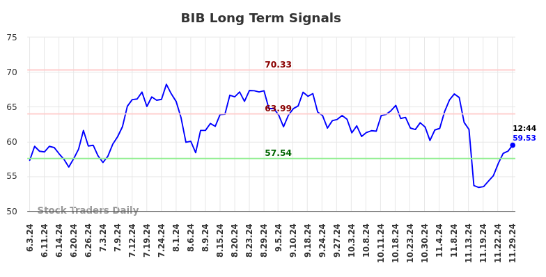 BIB Long Term Analysis for December 2 2024