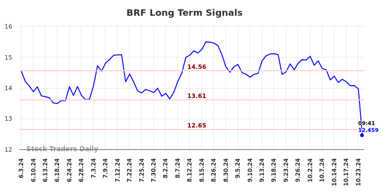 BRF Long Term Analysis for December 2 2024