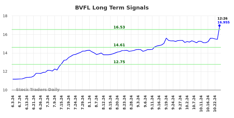 BVFL Long Term Analysis for December 2 2024