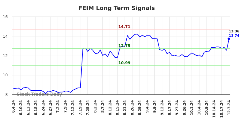 FEIM Long Term Analysis for December 3 2024