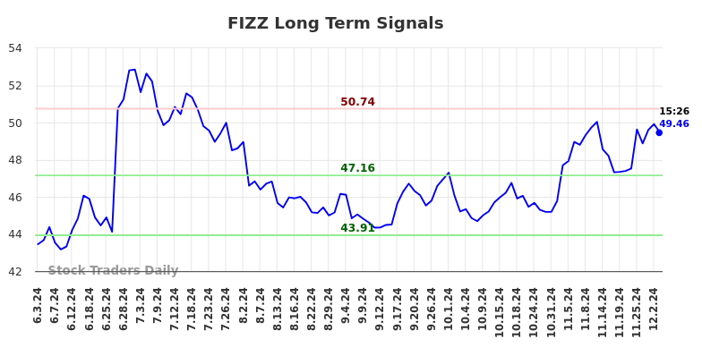 FIZZ Long Term Analysis for December 3 2024