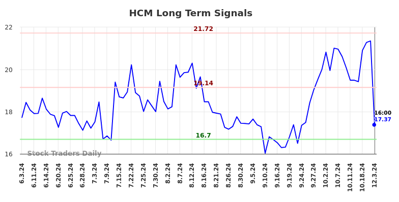 HCM Long Term Analysis for December 4 2024