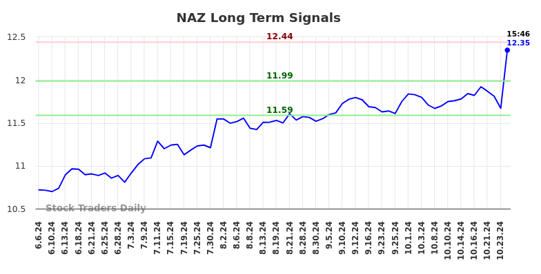 NAZ Long Term Analysis for December 5 2024