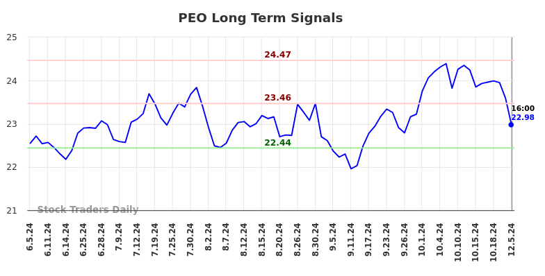 PEO Long Term Analysis for December 5 2024