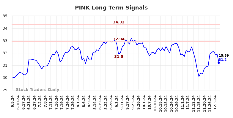 PINK Long Term Analysis for December 5 2024