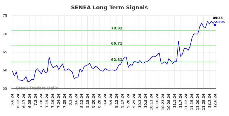 SENEA Long Term Analysis for December 6 2024