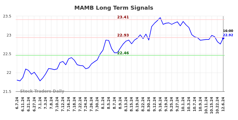 MAMB Long Term Analysis for December 7 2024