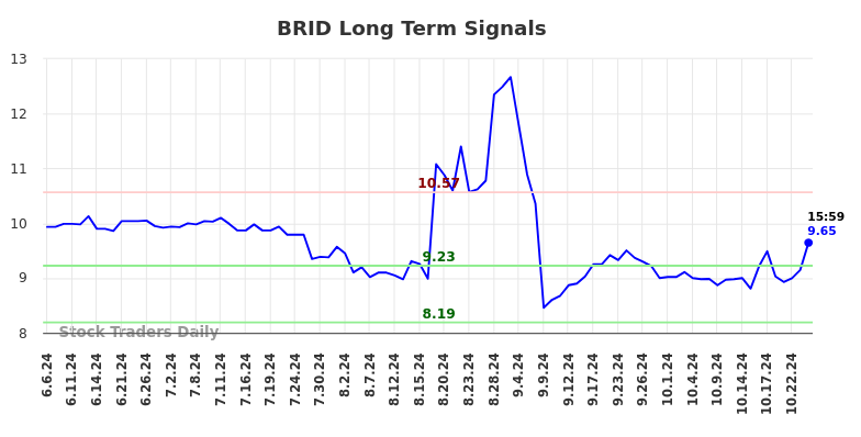 BRID Long Term Analysis for December 9 2024