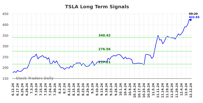 TSLA Long Term Analysis for December 12 2024