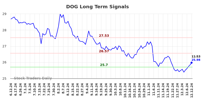 DOG Long Term Analysis for December 12 2024