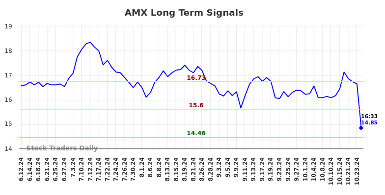 AMX Long Term Analysis for December 12 2024