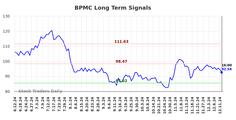 BPMC Long Term Analysis for December 13 2024