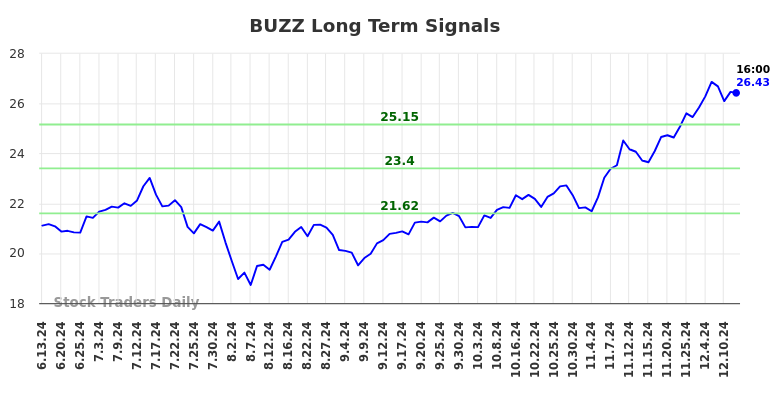 BUZZ Long Term Analysis for December 13 2024