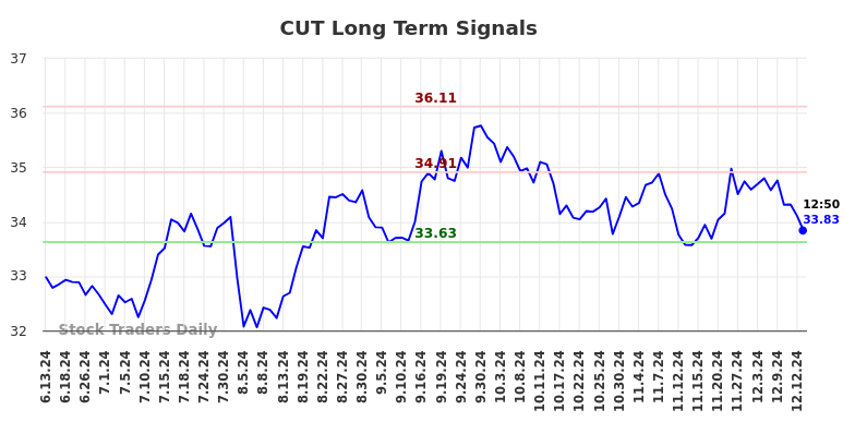 CUT Long Term Analysis for December 13 2024