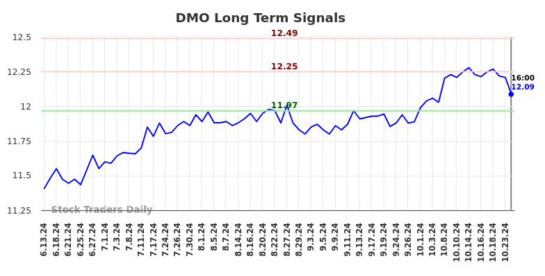 DMO Long Term Analysis for December 13 2024