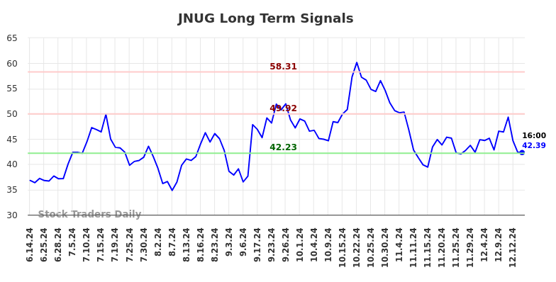 JNUG Long Term Analysis for December 15 2024