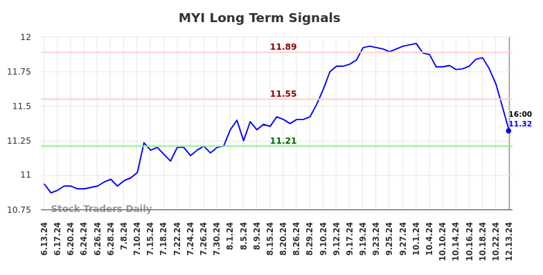 MYI Long Term Analysis for December 16 2024