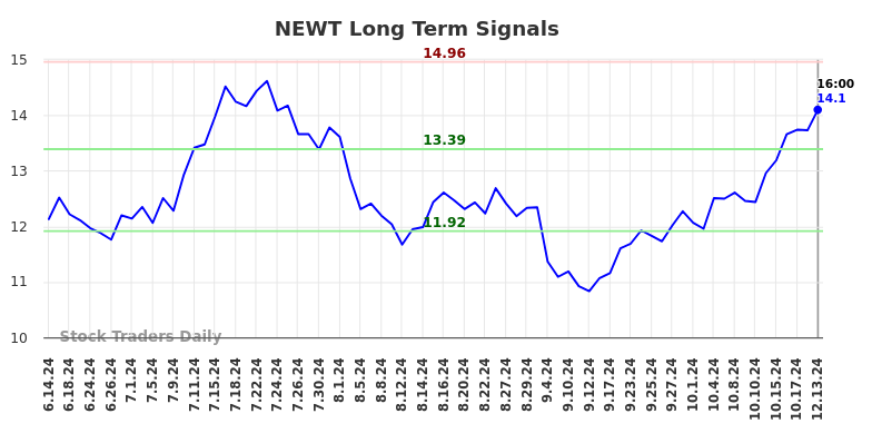 NEWT Long Term Analysis for December 16 2024