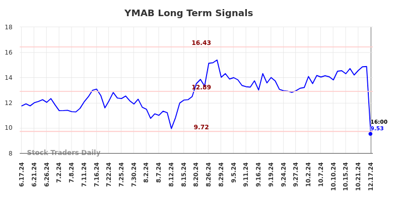 YMAB Long Term Analysis for December 18 2024