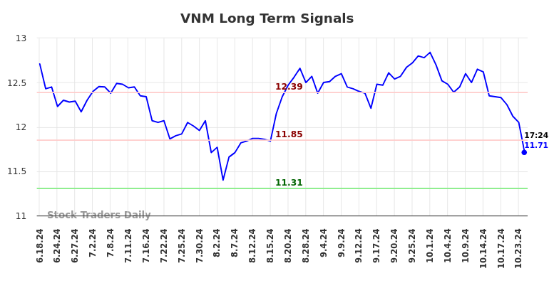 VNM Long Term Analysis for December 18 2024 VNM Long Term Analysis for December 18 2024