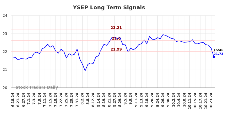 YSEP Long Term Analysis for December 18 2024