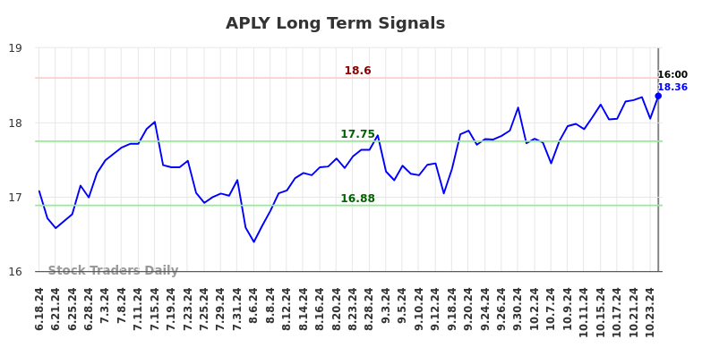 APLY Long Term Analysis for December 19 2024