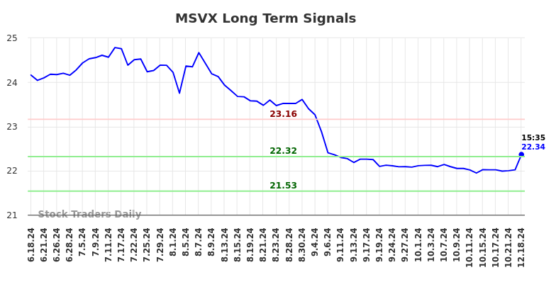 MSVX Long Term Analysis for December 19 2024