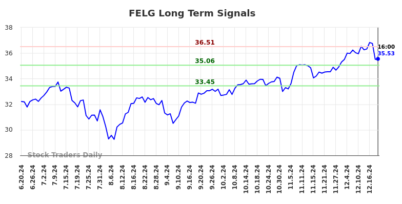 FELG Long Term Analysis for December 19 2024 FELG Long Term Analysis for December 19 2024